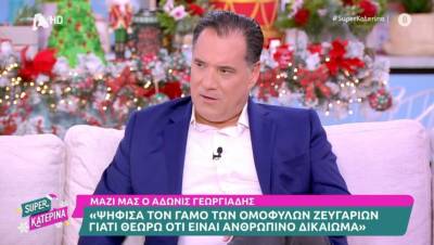 Γεωργιάδης: «Ψήφισα τον γάμο των ομόφυλων ζευγαριών γιατί θεωρώ ότι είναι ανθρώπινο δικαίωμα» (Βίντεο)