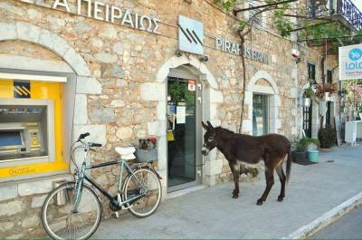 Τι κάνει ο γάιδαρος έξω από την τράπεζα στην Καρδαμύλη;