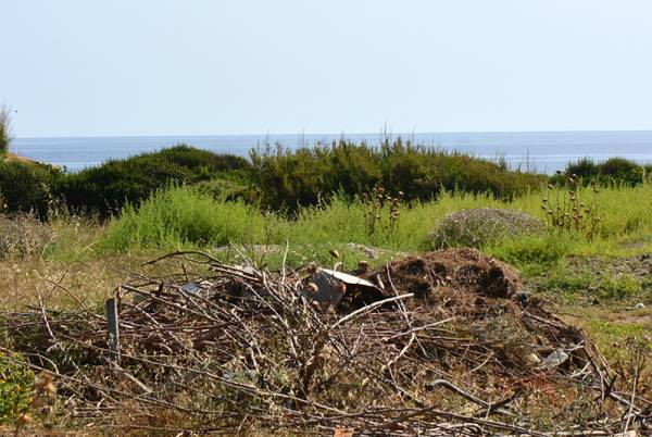 Μεσσηνία: Ζητούν καθαρισμό της παραλίας Βρωμονερίου (φωτογραφίες)