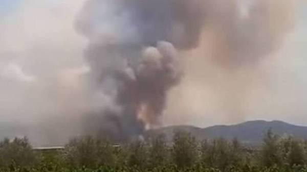 Κόρινθος: Μια σύλληψη για την φωτιά στο Καλέντζι· σε εξέλιξη η πυρκαγιά