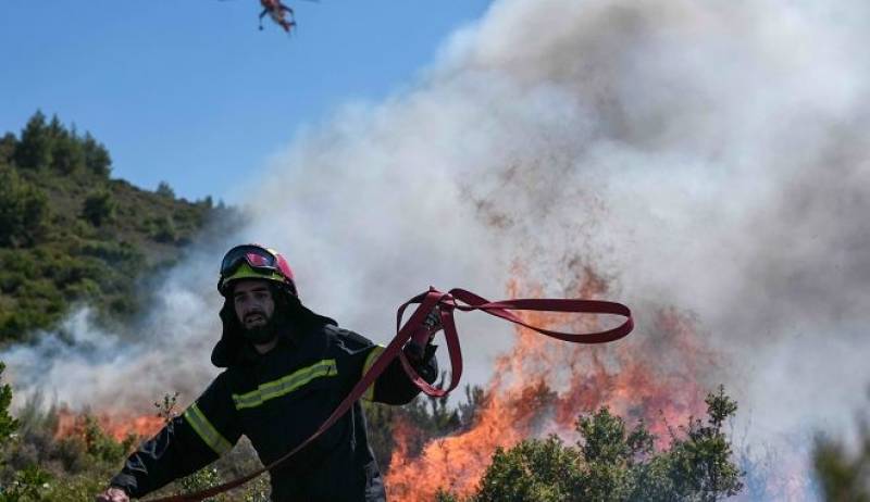 Φωτιές σε Αλεξανδρούπολη και Τρίκορφο Ναυπακτίας-Καλύτερη εικόνα στην Πάργα