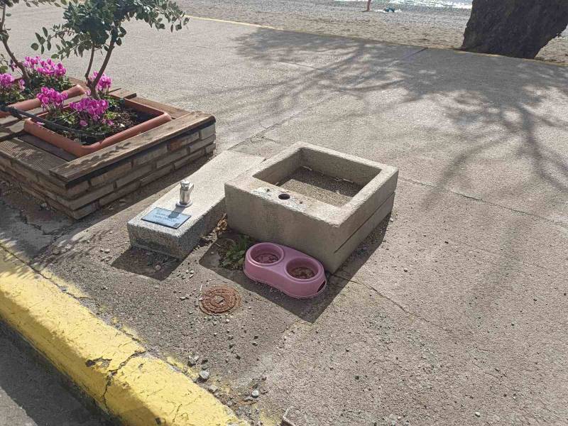 Χρειάζεται συνολικός έλεγχος