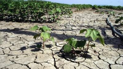 Η Κίνα αντιμέτωπη με ξηρασία και πολύ υψηλές θερμοκρασίες