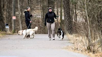 Υιοθετήθηκε νομοσχέδιο για την κοινή κηδεμονία των ζώων συντροφιάς μετά το διαζύγιο