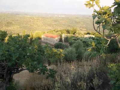 Παλαιά Αετοφωλιά Δήμου Μεσσήνης: Ενα χωριό - μνημείο αρχιτεκτονικής