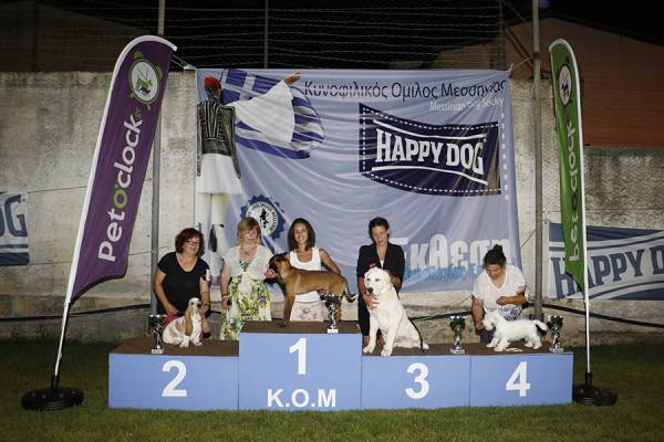 200 συμμετοχές στα καλλιστεία σκύλων στην Καλαμάτα