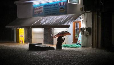 Πυροσβεστική: Συνολικά 2.483 κλήσεις έχει λάβει το Κέντρο Επιχειρήσεων στη Μαγνησία, σχεδόν μέσα σε μία εβδομάδα