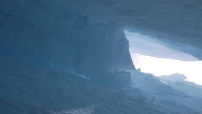 Μεγάλη επιχείρηση διάσωσης στην Καλιφόρνια - Ομάδα σκιέρ παρασύρθηκε από χιονοστιβάδα