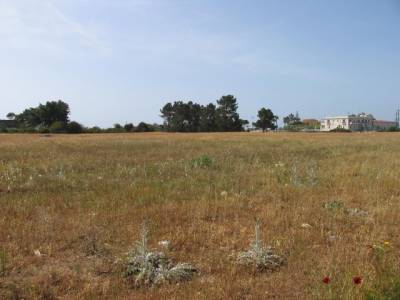 Πρόταση του λιμενάρχη Καλαμάτας στην Περιφέρεια: Να αξιοποιηθεί το κτήμα δωρεά των εφοπλιστών στην Ανάληψη