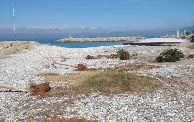 Απάντηση Δήμου Δυτικής Μάνης για τα δένδρα στο Ακρογιάλι