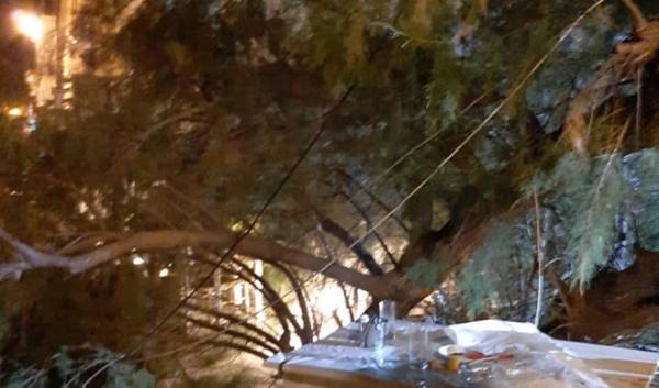 Μυτιλήνη: Κλαδί δέντρου έπεσε πάνω στην αντιδήμαρχο Καθαριότητας την ώρα που έτρωγε σε ταβέρνα