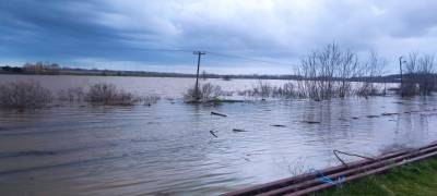 Ο Έβρος σε «κόκκινο συναγερμό» λόγω υπερχείλισης του ποταμού (βίντεο)