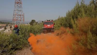 WWF Ελλάς: Πρωτοβουλία για τοπικά σχέδια δράσης πρόληψης των δασικών πυρκαγιών