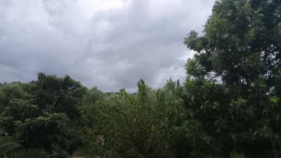 Η Μεσσηνία του χθες και οι καλές προθέσεις