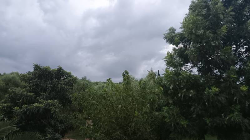 Η Μεσσηνία του χθες και οι καλές προθέσεις