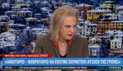 Παγώνη: Τον Ιανουάριο θα έχουμε εκρηκτική αύξηση της γρίπης (Βίντεο)