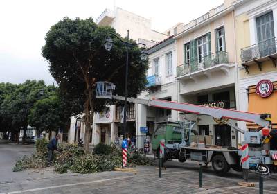 Καλαμάτα: Κλειστά και τα δύο ρεύματα της 23ης Μαρτίου λόγω κλαδέματος (βίντεο)