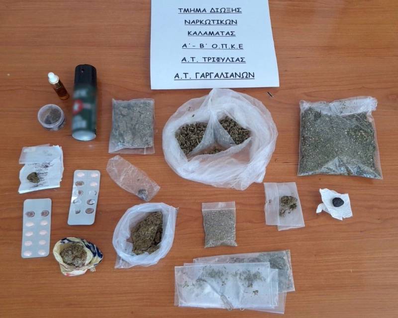 Μεσσηνία: Σύλληψη 14 κατασκηνωτών για ναρκωτικά στο δάσος της Ελαίας