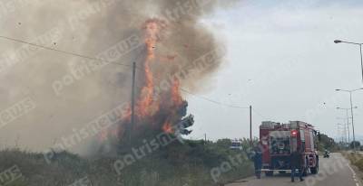 Φωτιά σε εξέλιξη κοντά στην εθνική οδό Πύργου – Αρχαίας Ολυμπίας