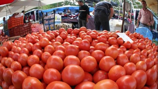 Κατασχέθηκαν και καταστράφηκαν 966 κιλά ντομάτες με υπολείμματα φυτοφαρμάκων