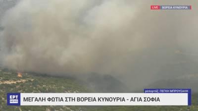 Αρκαδία: Φωτιά στην Αγία Σοφία Κυνουρίας (Βίντεο)