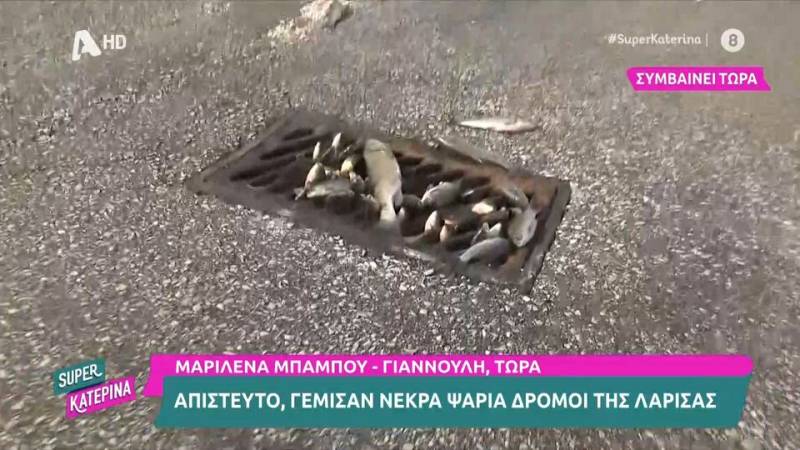 Θεσσαλία: Σοκάρει η εικόνα από νεκρά ψάρια σε φρεάτια
