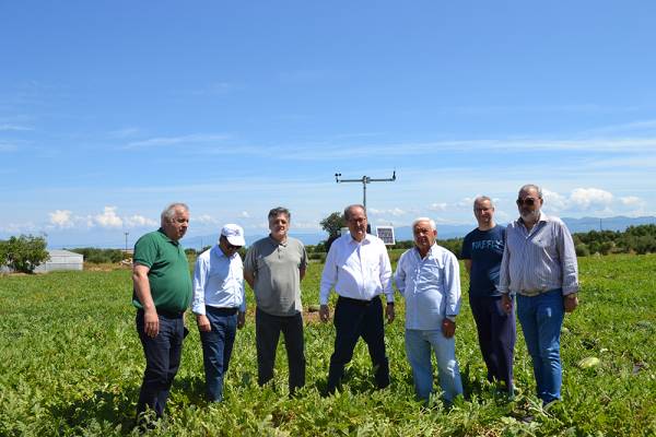 Επίσκεψη Νίκα σε καρπουζοχώραφα της Τριφυλίας: Η νέα τεχνολογία στην υπηρεσία των καλλιεργητών