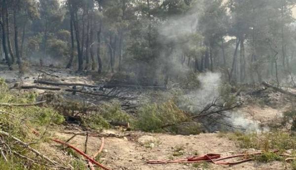 Βάλια Κάλντα: Έσβησε η φωτιά μετά από 16 μέρες