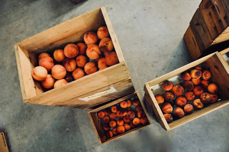 Με καλούς οιωνούς ξεκίνησε το 2018 για τους εξαγωγείς φρούτων και λαχανικών