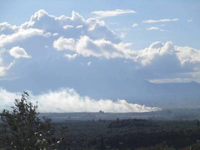 Κάνει ότι δεν ξέρει η Νικολάκου για τα πυρηνελαιουργεία