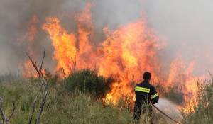 17 προσλήψεις για πυροπροστασία στο Δήμο Οιχαλίας