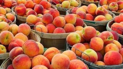 Διανομή ροδάκινων από την Ενωση Πολυτέκνων Καλαμάτας και Περιχώρων