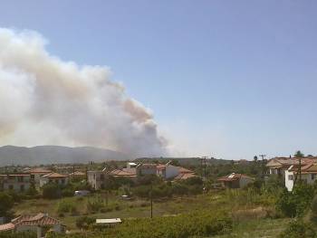 Μεγάλες πυρκαγιές σε Χρυσοκελλαριά και Τσαπί