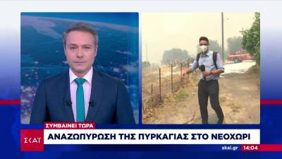 Φωτιά στην Αρκαδία: Μεγάλη αναζωπύρωση στο Νεοχώρι - Στα πρώτα σπίτια πλησιάζουν οι φλόγες (Βίντεο)