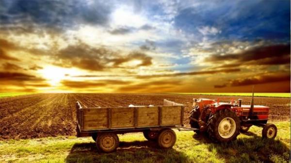 Αγροτικός τομέας: Ενέργειες που μπορούν να μειώσουν τις δαπάνες και να αυξήσουν την ανταγωνιστικότητα