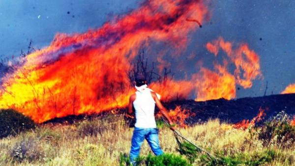 Πάτρα: Φωτιά στην περιοχή Πούντα Αιγιαλείας