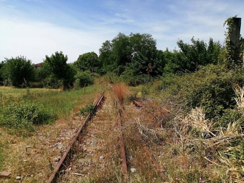 Κίνημα Διάσωσης κι Επαναλειτουργίας Σιδηροδρόμου Πελοποννήσου: “Το τρένο αργεί να σφυρίξει, να μην δημιουργούνται ψευδαισθήσεις”