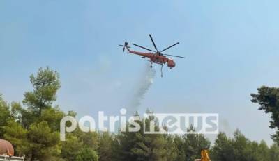 Φωτιά στην Αρχαία Ολυμπία: Αναζωπύρωση στη Νεμούτα (Βίντεο)