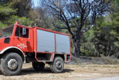 Δημοτική Επιτροπή Μεσσήνης: Εγκριση μελέτης για αντιπυρική προστασία