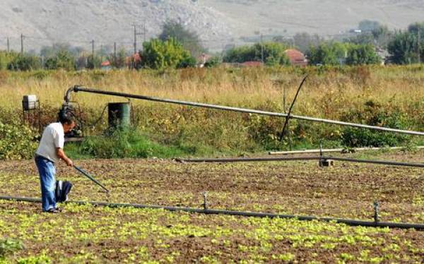 Εννέα στους 10 αγρότες δήλωσαν το 2014 εισόδημα έως 5.000 ευρώ