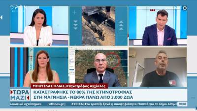 Καταστράφηκε το 80% της κτηνοτροφίας στη Μαγνησία – Νεκρά πάνω από 3.000 ζώα