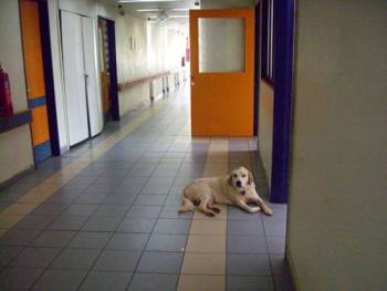 Ερώτηση Πετράκου, Ζαχαριά για το ΚΑΦΚΑ Φιλιατρών