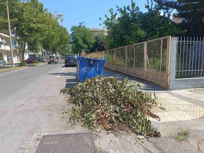 Ενδειξη αδιαφορίας