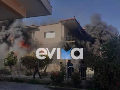 Μεγάλη φωτιά σε επιχείρηση στο Βέλος Ευβοίας (βίντεο)