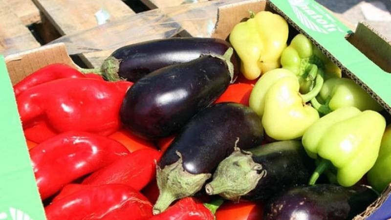 Νέα μελέτη: Μείωση 30% στην παραγωγή λαχανικών στη Ν. Ευρώπη