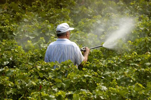 Πιστοποίηση χρήσης γεωργικών φυτοφαρμάκων από την ΕΤΑΠ Πελοποννήσου
