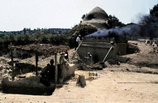 Καμίνι στις Πετριάδες