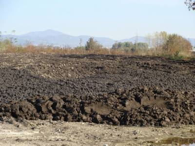 Προωθείται η αδειοδότηση της ΜΟΛΑΚ για επεξεργασία λυματολάσπης