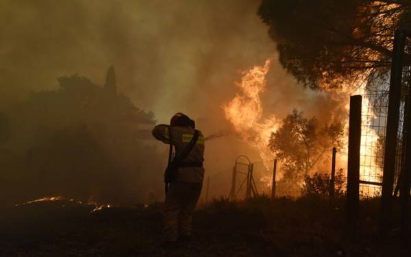 Μάχη με τις φλόγες για τη σωτηρία ενός πευκοδάσους στη Ζάκυνθο