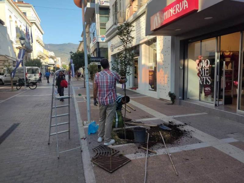 Το πράσινο είναι πολύτιμο σε κάθε γωνιά